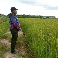 SutanMudoJR