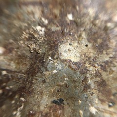 Nowhereville Samples Binaural Mix