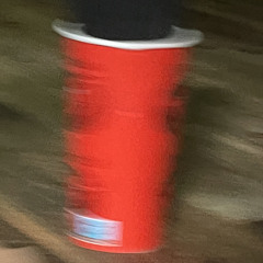 Julius