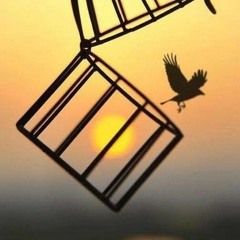 Asmaa Elbashwaty