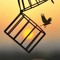 Asmaa Elbashwaty