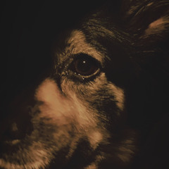 essi