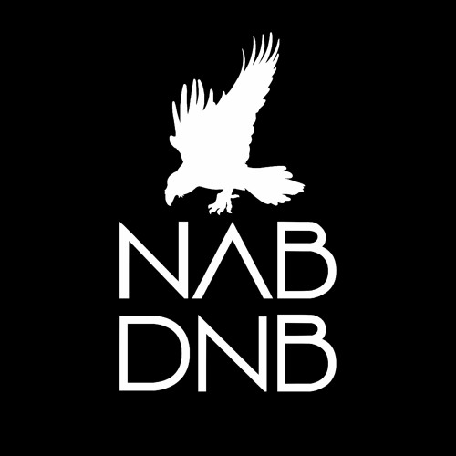 Northern Alberta Drum and Bass (NAB DNB) artist photo