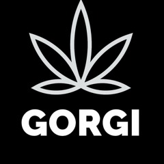 Gorgi-0511