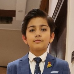 Arfeen Abbas