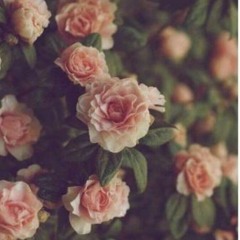 Lina Ahmed 14