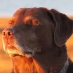 𝘴𝘪𝘮𝘪