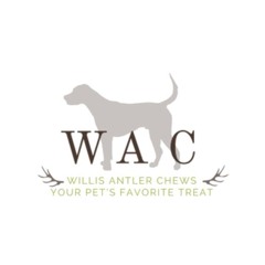 Large Antlers for Dogs - Natural Chews from Worldwide Antler Chews