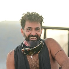 DJ Seagull 🪽 (Shahaf Edri)