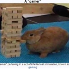 Sillypersoncalledbart13