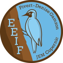 EEIF Copernic
