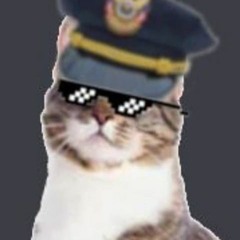 kitty officer