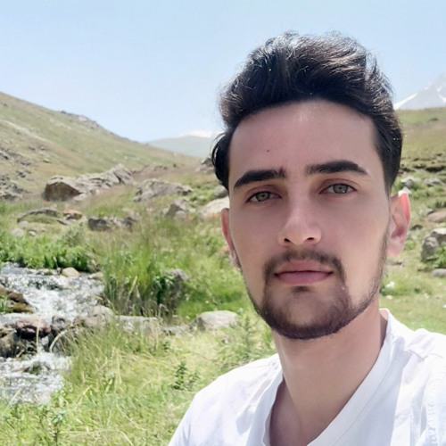 Reza Mohammad Nejad’s avatar