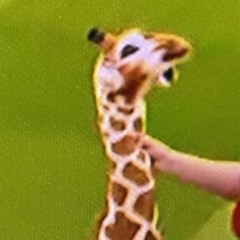 yanu