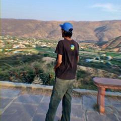 am4lly