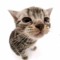 User 781981456
