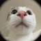 SSSang9_