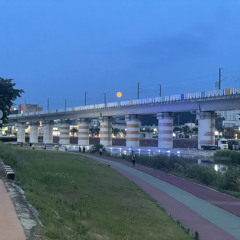 이이선민