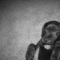 derek rory beardsley