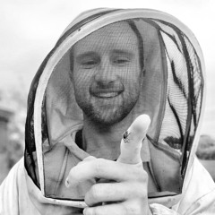 Dr Bee