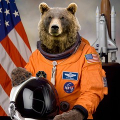 Fl Space Bear