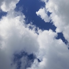 ℂ𝕠𝕞𝕡𝕝𝕖𝕥𝕝𝕪 𝕠𝕦𝕥 𝕠𝕗 𝕚𝕥