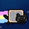 kitty!! XPP