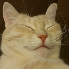 Mur