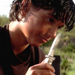 Jovan macchio 12774665