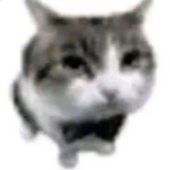 Dripfor1