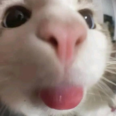 :)