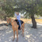lialyyy | ليالي (:(