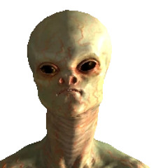 Sklink