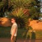 Dj TreeTops
