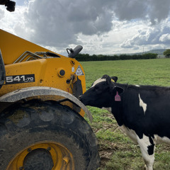 paddy1050