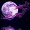 Nour  Alnon