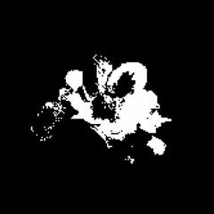 REVENGE: Dreams of Vindict