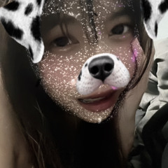 noei 🐭