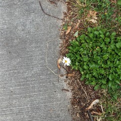 ⋆｡‧˚ʚ♡ɞ˚‧｡⋆