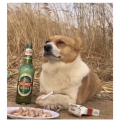Almazovv