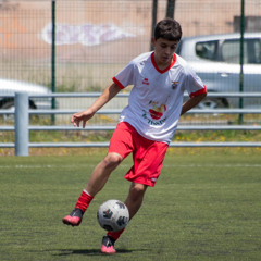 rodrigogp