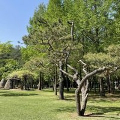 이은별