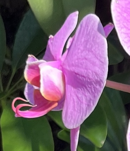 dharmahum in a soundcloud