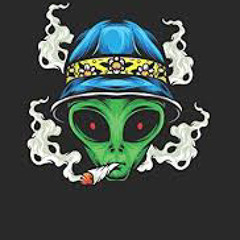 BGDDYG23