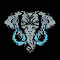 ELEPHANT PROMO