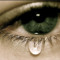 ms STAS _9_9