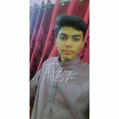 Hamza Malik