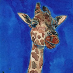 wonKygiraffe76