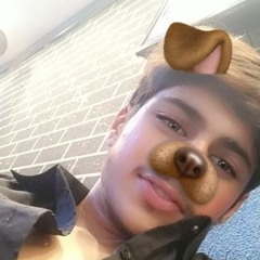 zulfiqar Ali