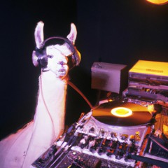 JOELCBV (jungl car in highschool)